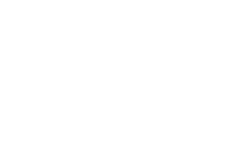 Riedel Logo